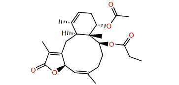 7-Epifunicolide A